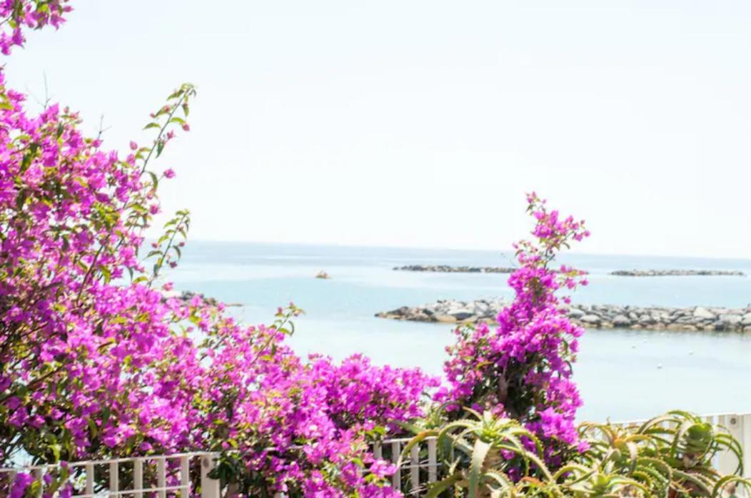 Narciso Centralissimo Sanremo Dış mekan fotoğraf